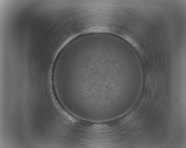 X0000072971325200607282312