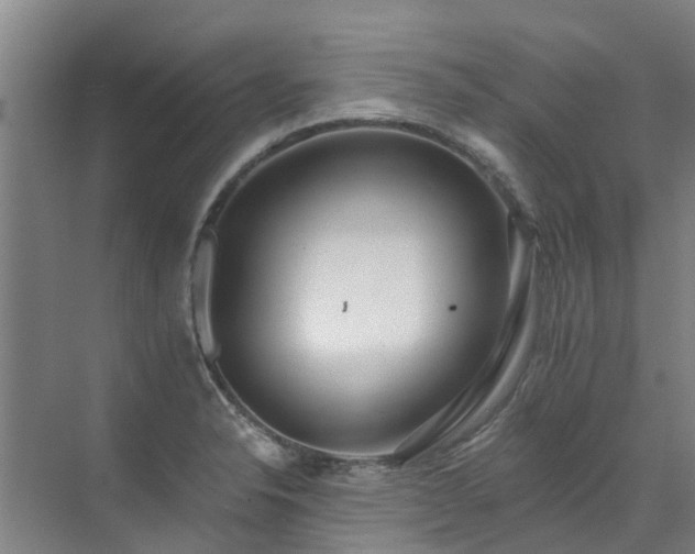 X0000072971326200607282312