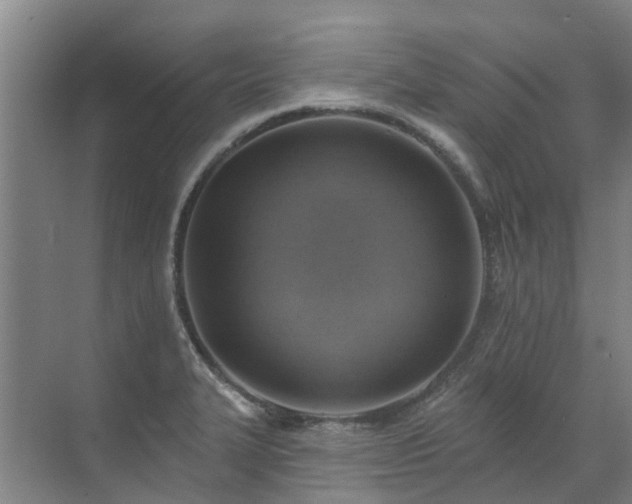 X0000072971327200607282312