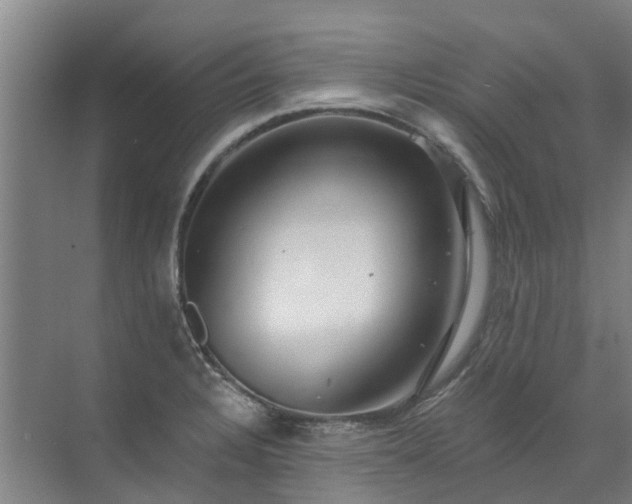 X0000072971328200607282312