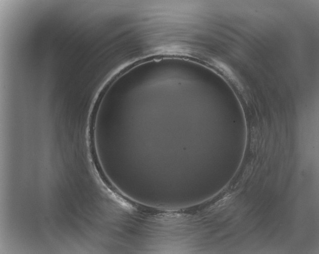 X0000072971331200607282312