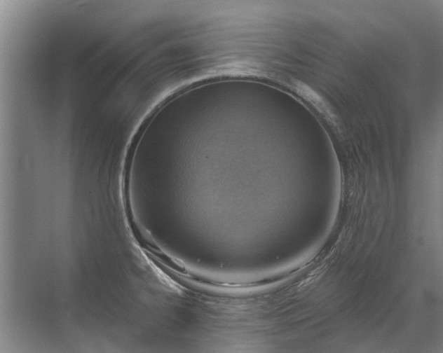 X0000072971334200607282312