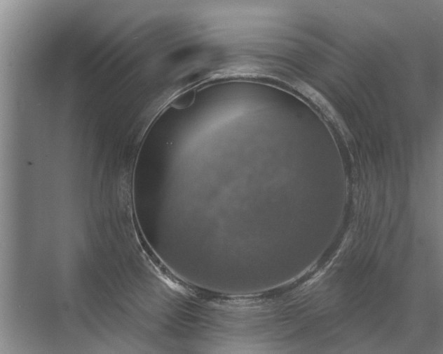 X0000072971337200607282312