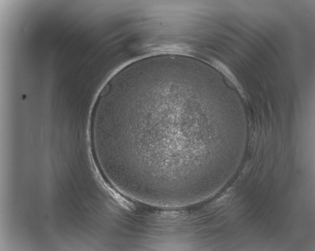 X0000072971339200607282312