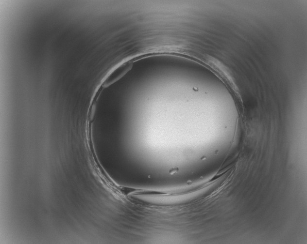 X0000072971340200607282312