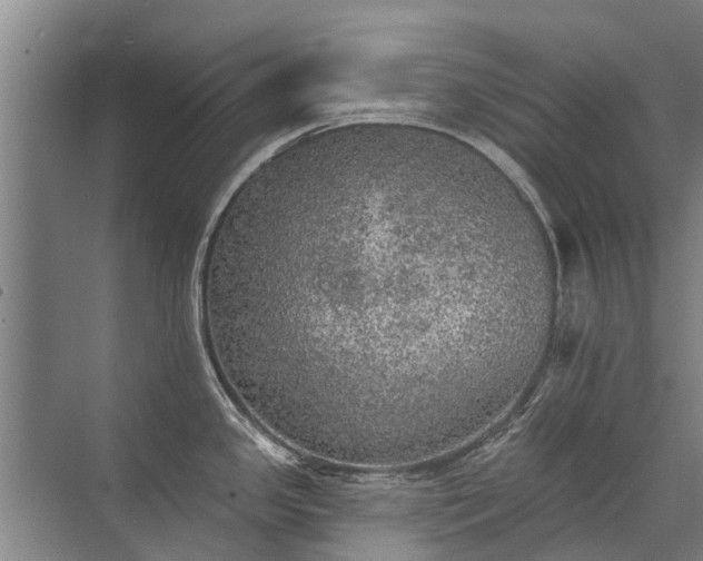 X0000072971341200607282312