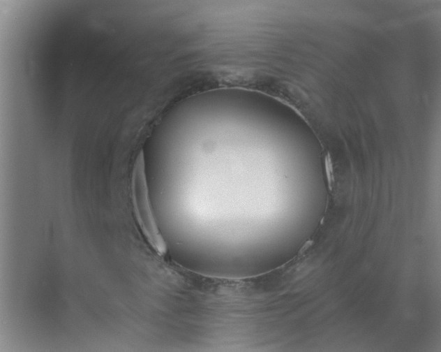 X0000072971345200607282311