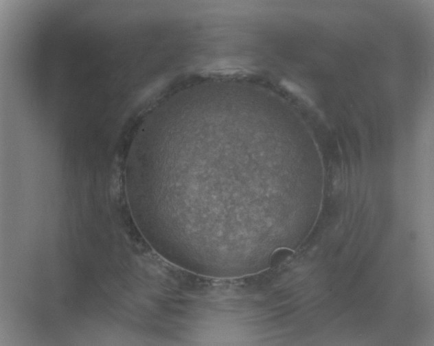 X0000072971350200607282311