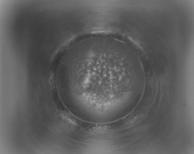 X0000072971351200607282311