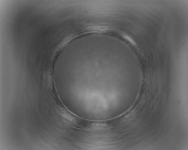 X0000072971354200607282311