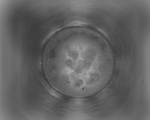 X0000072971355200607282311