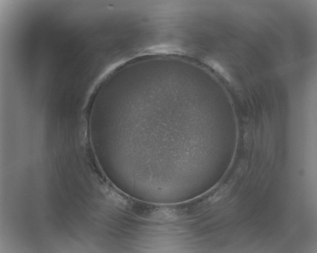 X0000072971358200607282311