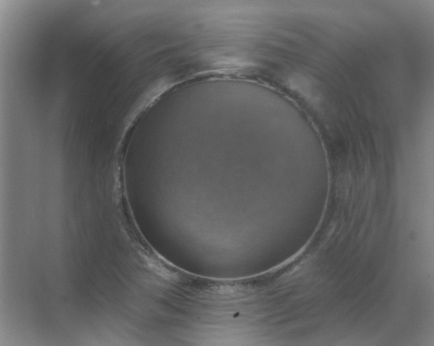 X0000072971362200607282311