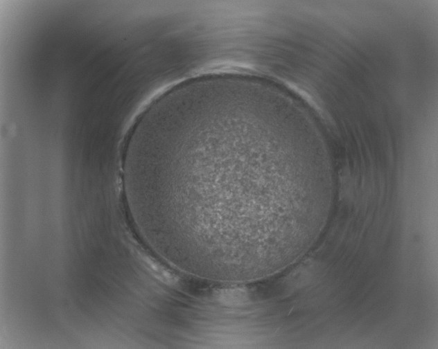 X0000072971363200607282311