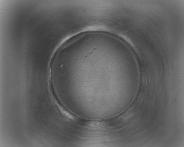 X0000072971366200607282311