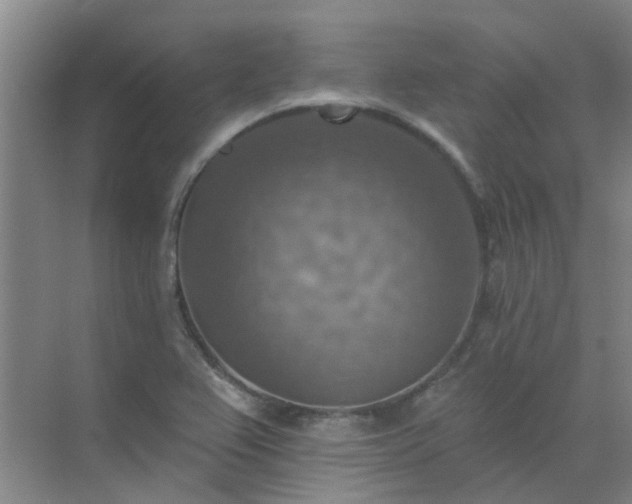 X0000072971367200607282311