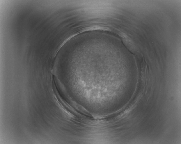 X0000072971369200607282311