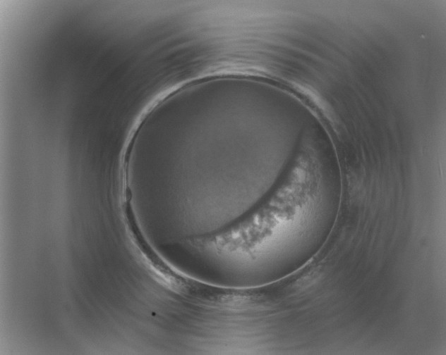 X0000072971371200607282311