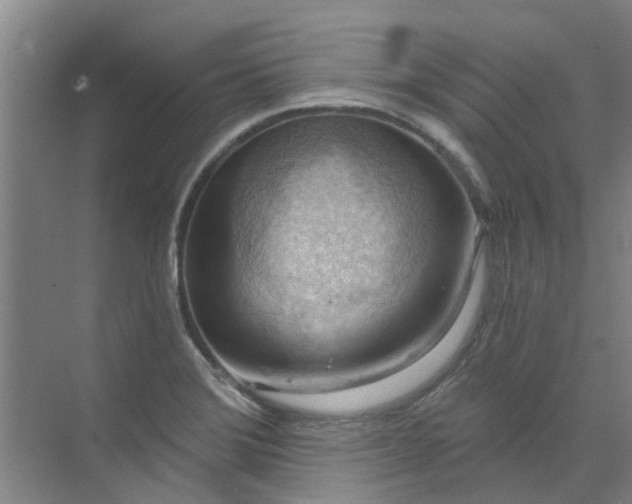 X0000072971372200607282311