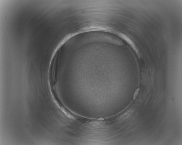 X0000072971373200607282311