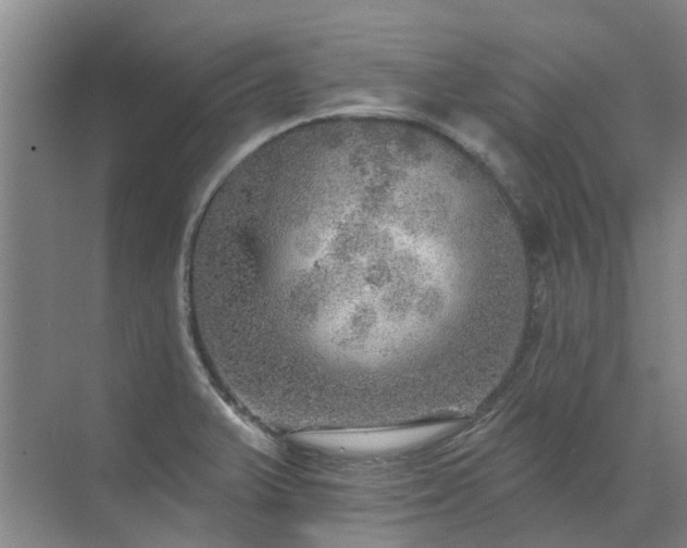 X0000072971375200607282311