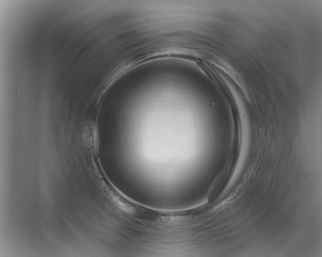 X0000072971377200607282311