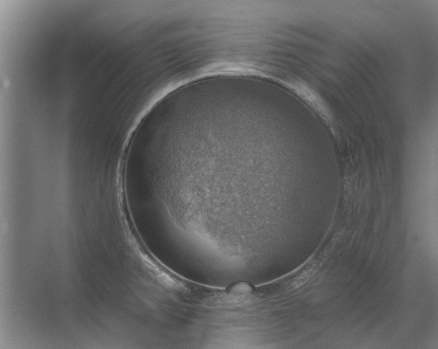 X0000072971382200607282311