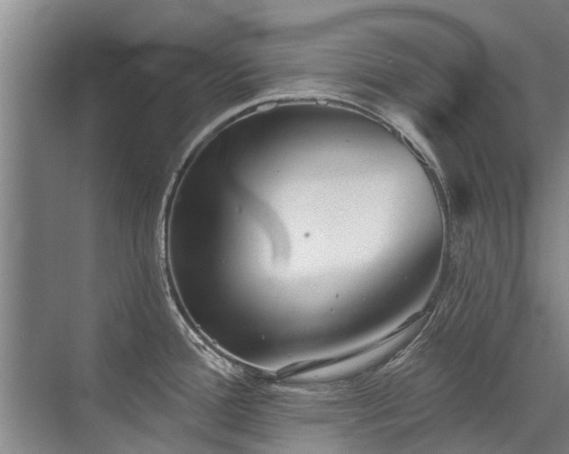 X0000072971388200607282310