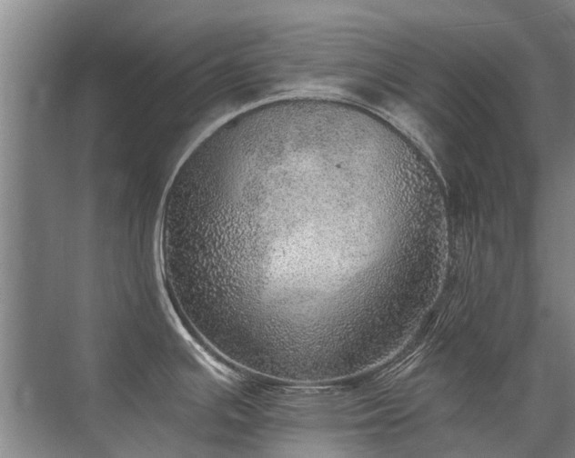 X0000072971391200607282310