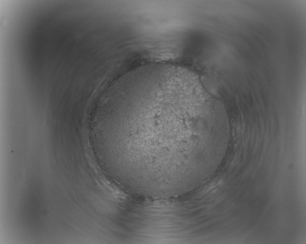 X0000072971393200607282310