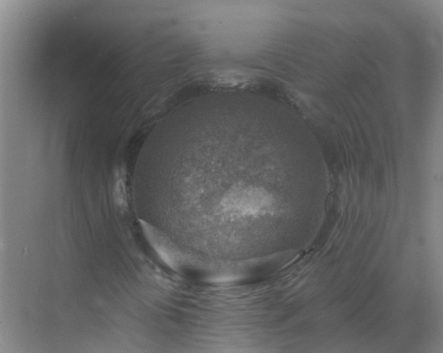 X0000072971394200607282310