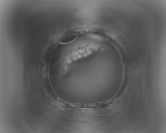 X0000072971399200607282310