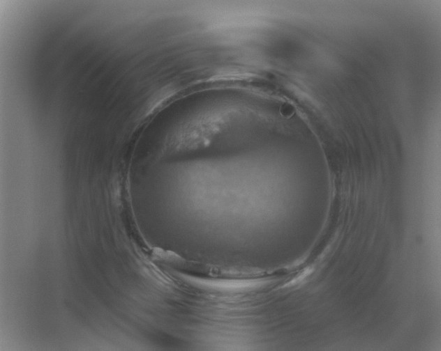 X0000072971401200607282310