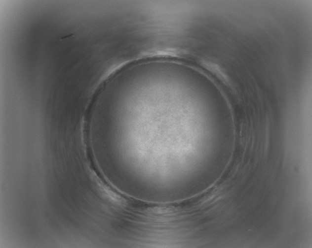 X0000072971404200607282310