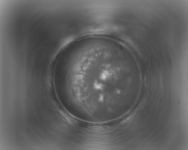 X0000072971405200607282310