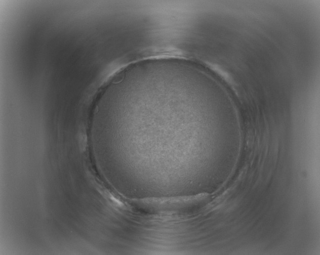 X0000072971407200607282310