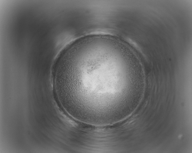 X0000072971408200607282310