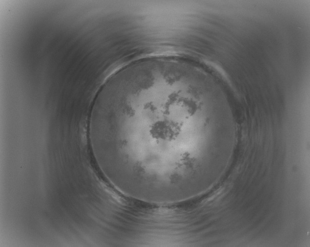 X0000072971409200607282310