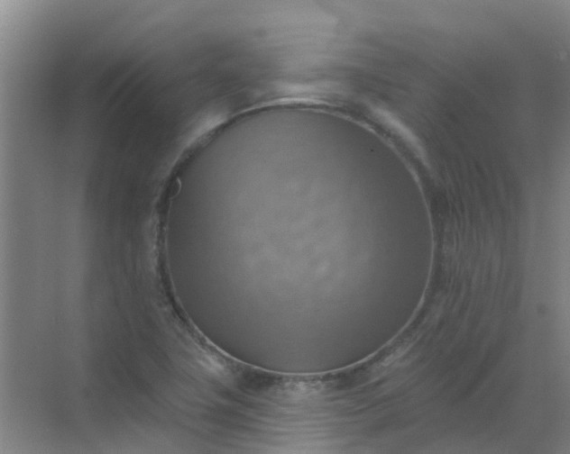 X0000072971411200607282310