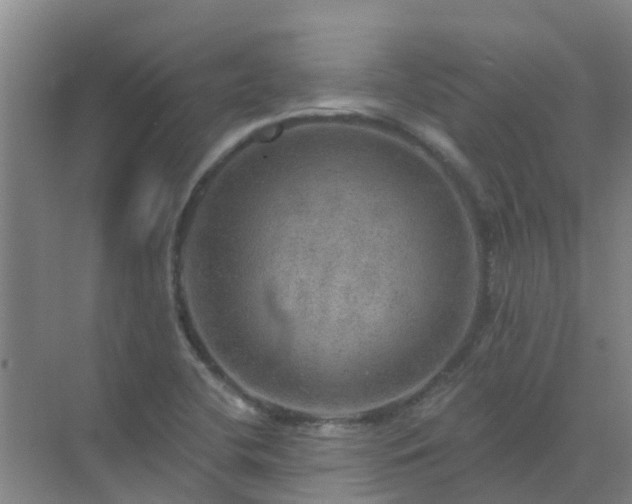 X0000072971412200607282310