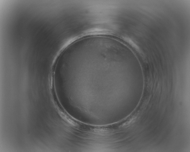 X0000072971413200607282310