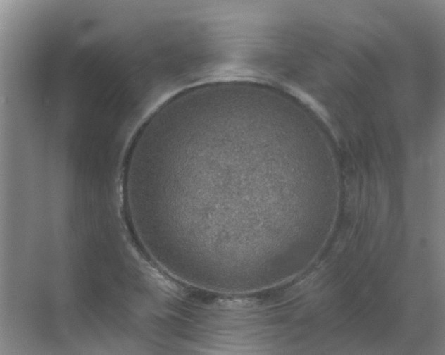 X0000072971415200607282310