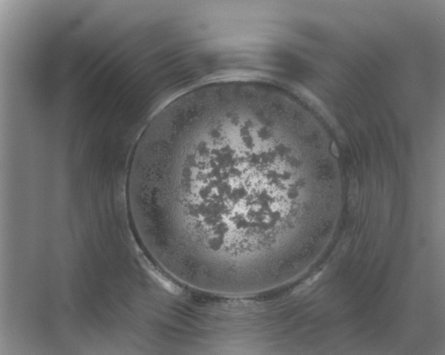 X0000072971417200607282310