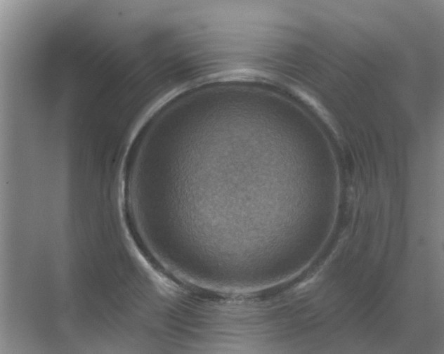 X0000072971418200607282310