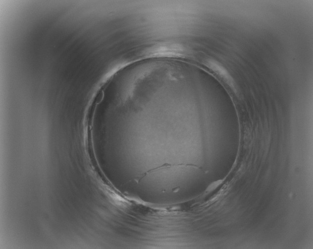 X0000072971419200607282310