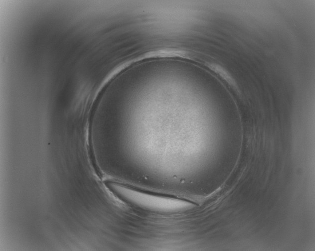 X0000072971420200607282310