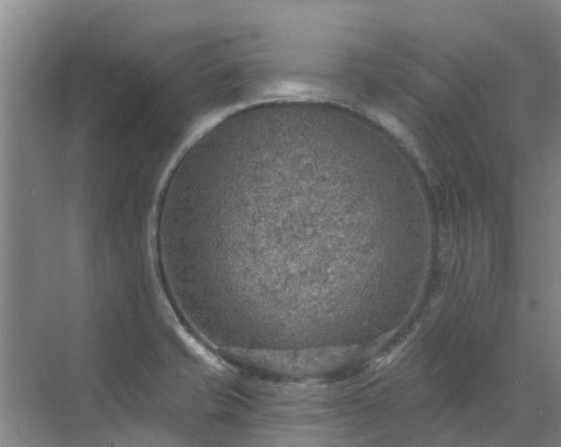 X0000072971421200607282310