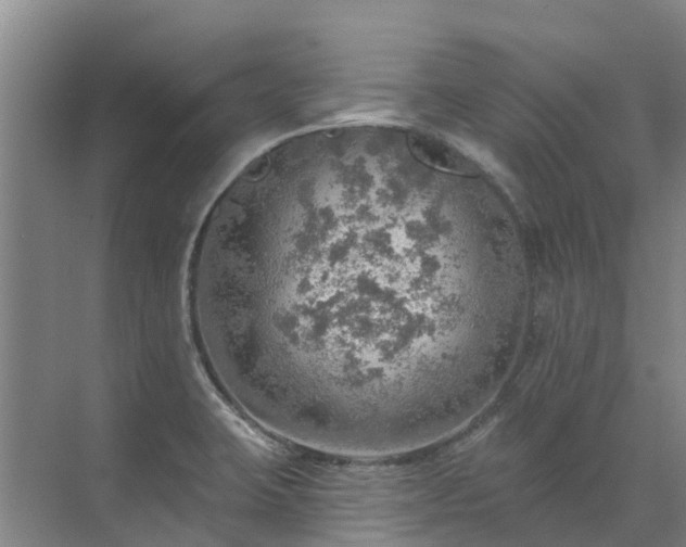 X0000072971423200607282310