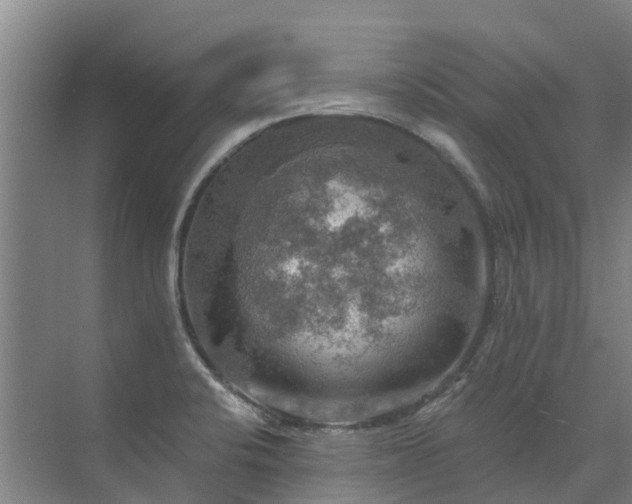 X0000072971424200607282310