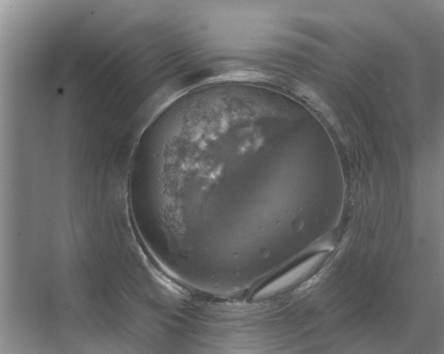 X0000072971425200607282310